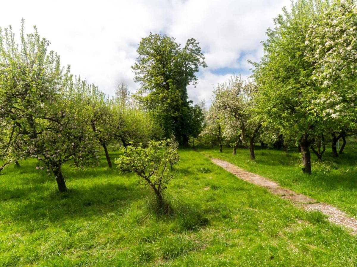 Gartenbungalow 2 Rechte Seite Klein Pravtshagen Екстер'єр фото